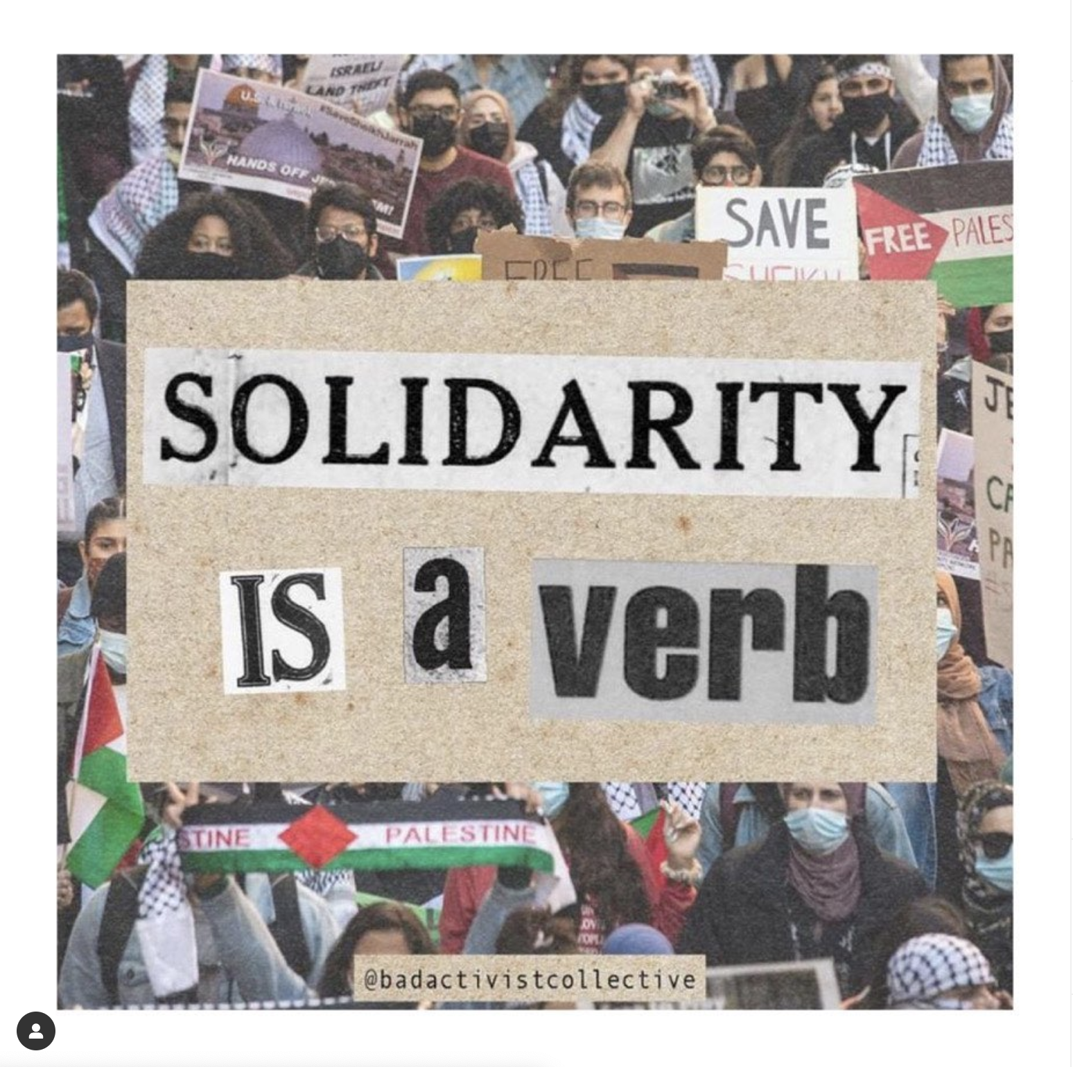 Emma Watson Pro-Palestine post on Instagram